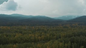 This stock video shows a beautiful autumn forest at the foot of the mountains. This video will decorate your projects related to nature, autumn, weather, mountain autumn landscapes.
