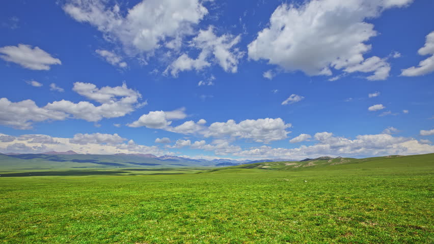 Green grassland and mountains natural landscape under blue sky, Xinjiang, China.