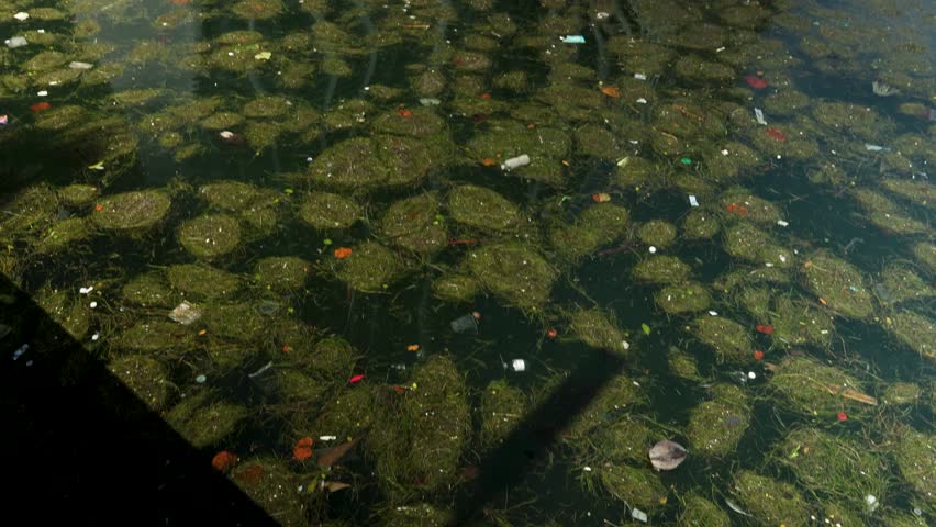 tilt footage of the rippling green water at Maurice A. Ferré Park and high ridge luxury condos and hotels and One Thousand Museum Miami with blue sky and clouds in Miami Florida USA