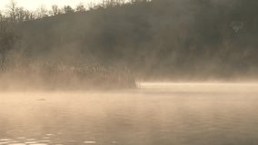 Foggy lake at morning sunrise landscape. - Powered by Shutterstock - Get 15% off with code: PIKWIZARD15