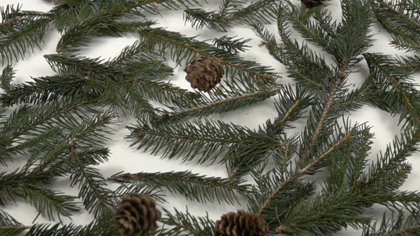 Pine cones of different types fall on pine branches, natural background, slow motion