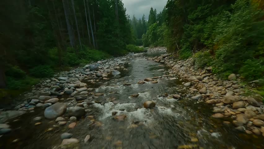 Flight over a mountain river. Shot on FPV drone. British Columbia, Canada.