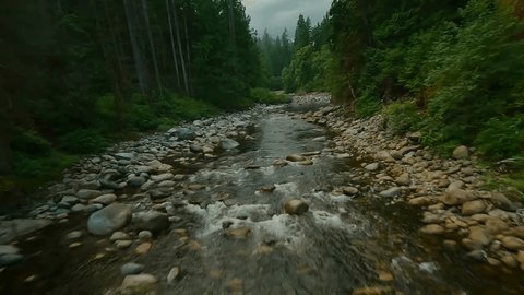 Flight over a mountain river. Shot on FPV drone. British Columbia, Canada. Video de stock