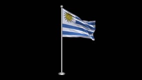 Uruguay Flag. Realistic Waving Flag on Transparent Background, Alpha Channel, 4K ProRes 4444. Easy to Put into Any Video
