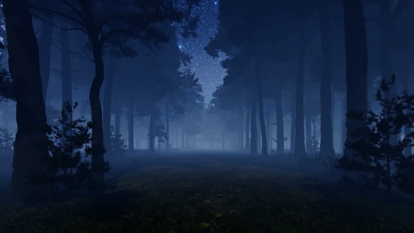 Forest at night, dark fog, and stars above seen from the trees | Shutterstock HD Video #1109987843