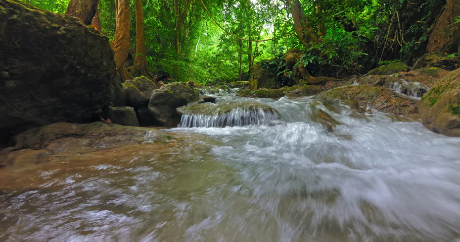 River in Amazon jungle forest. Tropical rainforest nature background