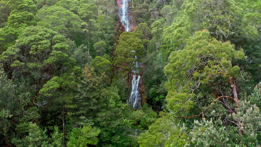 High tropical waterfall in Australia Tasmania. Travel landscape Montezuma falls Royalty-Free Stock Footage #1110015455