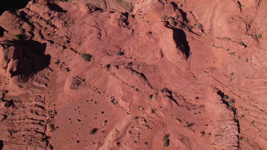 Horse shoe from bird eye