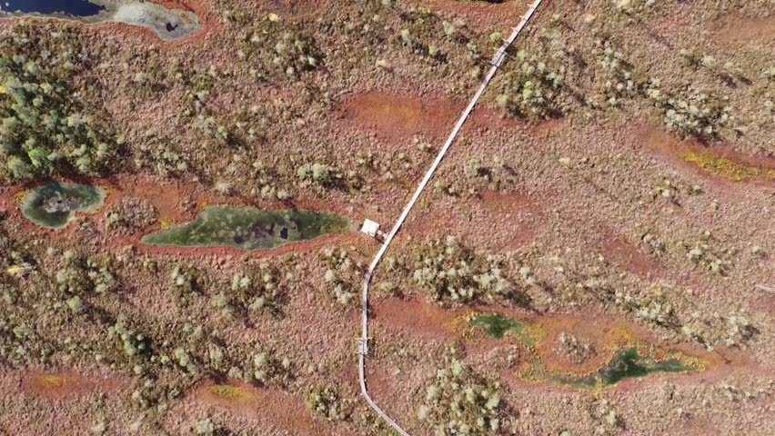Flying a drone over a swamp and a wooden trail