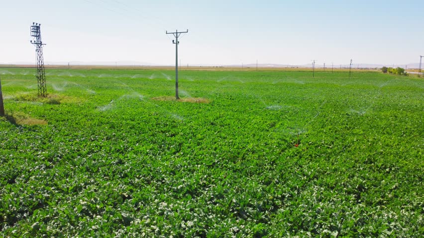 Aerial view of irrigation system, water jet rain cannons, sprinklers, field helping to grow, vegetation in dry season, increases yields. Irrigation system works in field, sprays water on soil