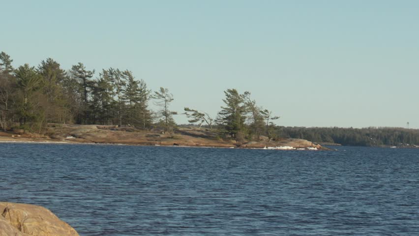 Ripley water in the foreground of the windswept tree in Killbear Provincial Park early spring on a sunny day