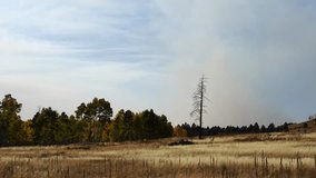 Fall in Hart Prairie with Smoke in Northern Arizona, Flagstaff, America, USA.