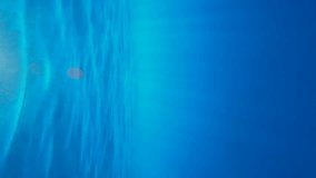 Vertical video, View of sunshine with ripples under blue water surface on daytime, slow motion. Day sunlight filters down through blue water. Underwater sunrays shine under water