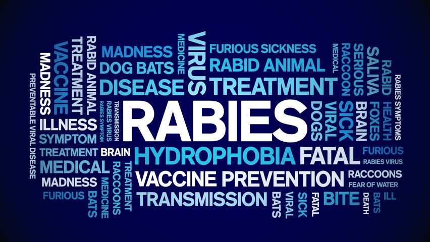 Rabies animated tag word cloud,text design animation kinetic typography seamless loop. 