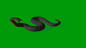 Snake effect green screen, 3D Animation, Ultra High Definition, 4k video