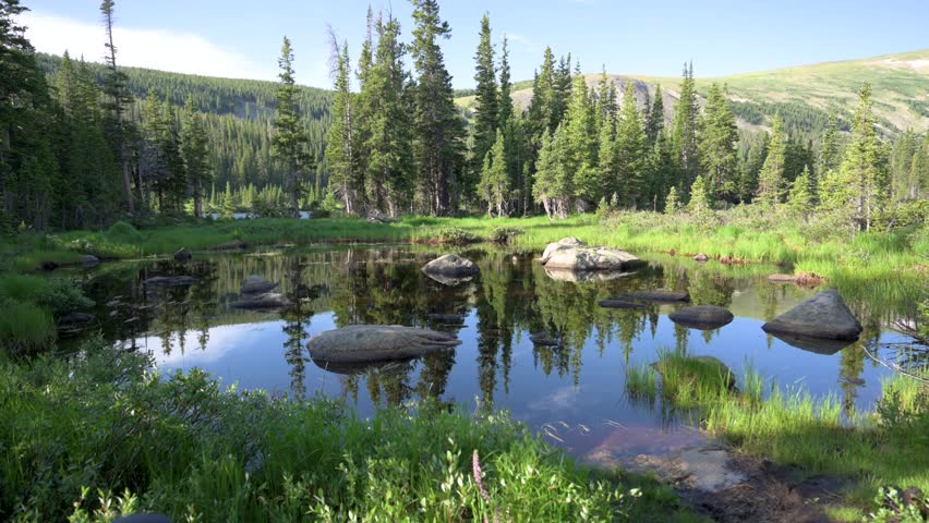 Calm pond reflecting the Rocky Mountains and pine trees during the early morning hours, static,