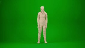 Green screen isolated chroma key video capturing a mummy dancing with hands up. Mock up, workspace for your promotion clip or advertisement. Full length.