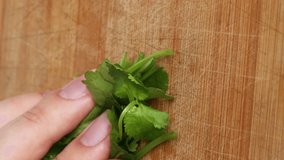 The chef is slicing fresh green cilantro, using a kitchen knife on a cutting board. step by step cooking. vertical video