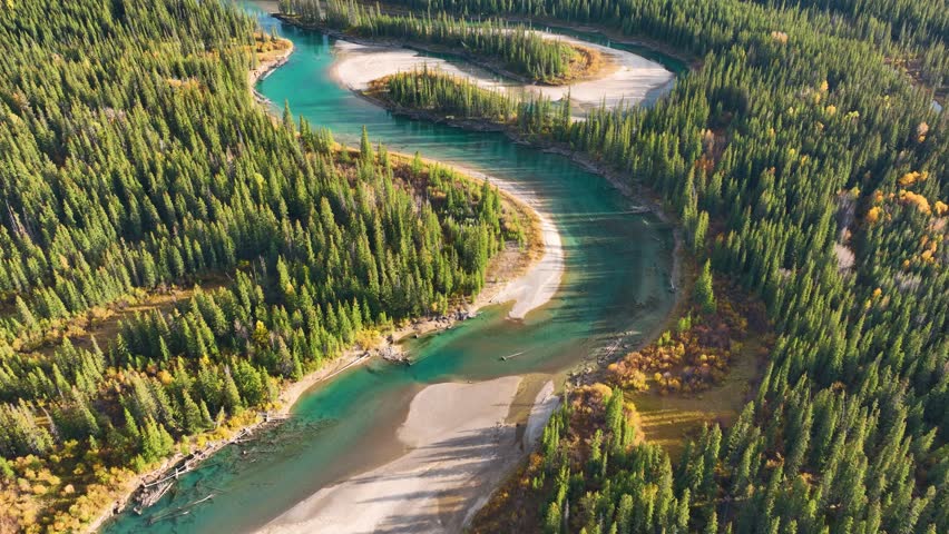 A drone view of the river in the woods. An aerial view of an autumn forest. Winding river among the trees. Turquoise mountain water. Landscape with soft light before sunset. Banff, Alberta, Canada. Royalty-Free Stock Footage #1110069845