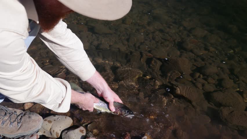 Close up shot of a man holding up a brown trout by a river in the outdoors.