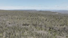 Drone aerial footage of forest regeneration and recovery after severe bushfires in The Blue Mountains in New South Wales in Australia