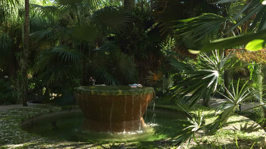orbit footage of a circular stone water fountain surrounded by lush green palm trees and plants at Miami Botanical Garden in Miami Beach Florida USA
