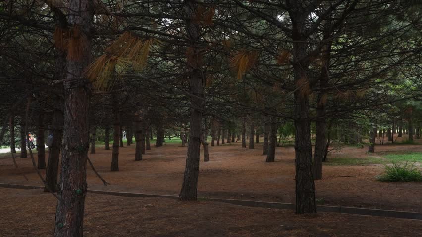 First President Parkt in Almaty, Kazakhstan