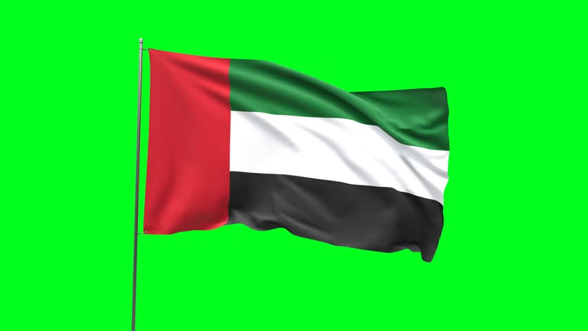 Flag of United Arab Emirates on green background, Flag looping video Royalty-Free Stock Footage #1110093627