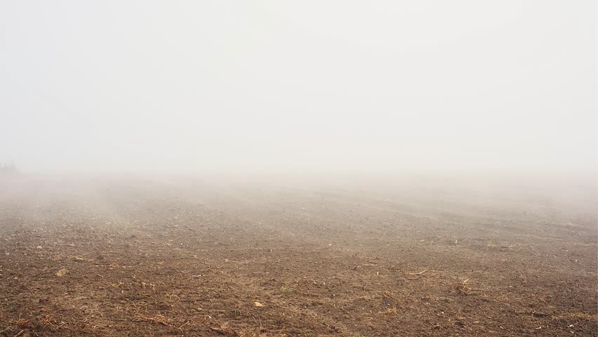 Heavy fog over the field, only soil and fog in which nothing is visible