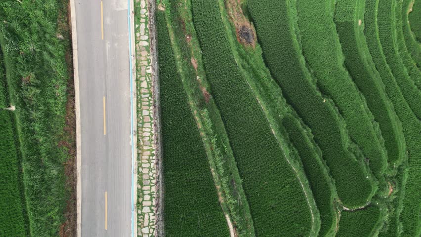 Jiabang terrace in guizhou china