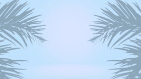 White 3d studio with palm trees leafs shadows abstract background. Clean and bright space with lights motion. Shiny footage with copy space for business presentation. Seamless loop.