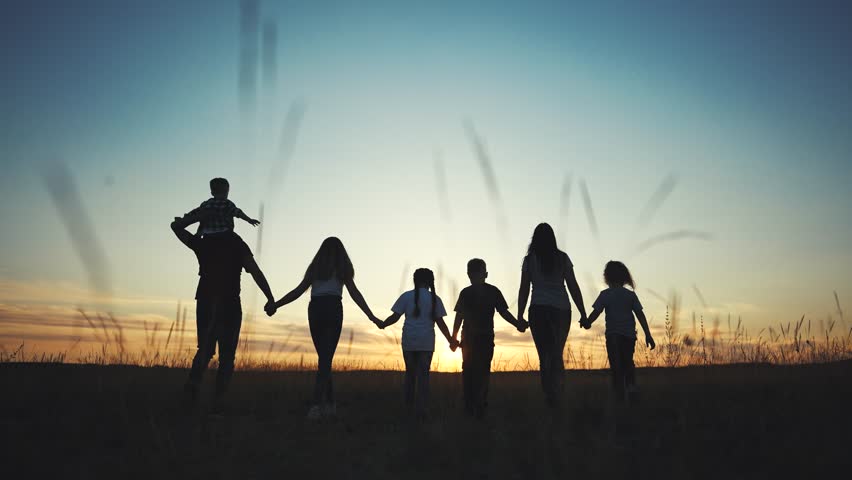 big family. huge family silhouette walking in park at sunset holding hands. big family kid dream concept. friendly community family walking in lifestyle nature with children at sunset Royalty-Free Stock Footage #1110113725