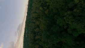 Vertical video 4k. Aerial view extreme flying over palm tree rainforest tropical plant evening valley mountain volcano blue sky. FPV sport drone freestyle shot picturesque Asian exotic forest volcanic