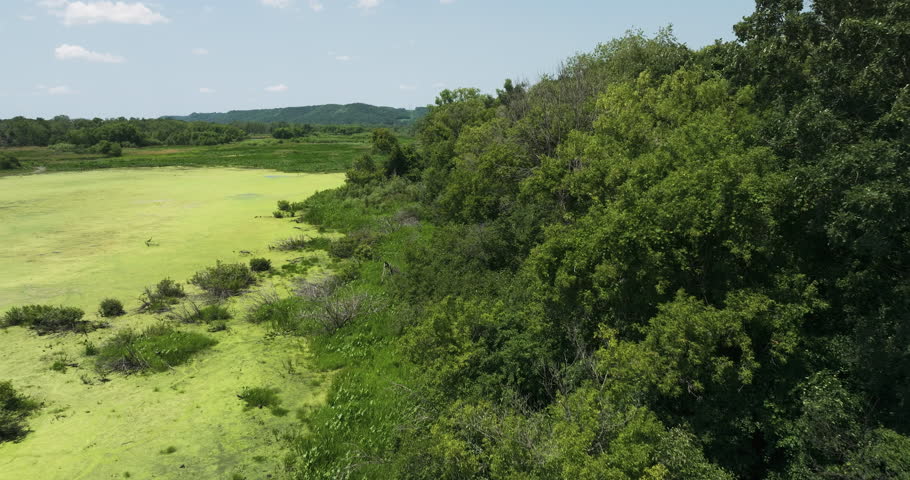 Mississippi River backwaters providing resting and feeding areas for waterfowl.