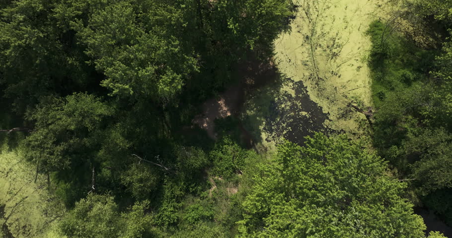 Reveal of Wisconsin scenery - beautiful river meanders and riverine woodland.