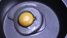 Timelapse video of a fried egg cooking in a frying pan