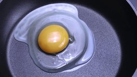 Timelapse video of a fried egg cooking in a frying pan - Powered by Shutterstock - Get 15% off with code: PIKWIZARD15