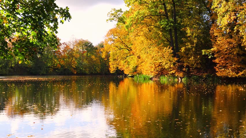 Autumn leaves trees reflecting on the surface of the forest lake