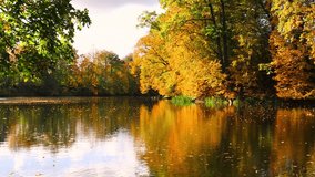 Autumn leaves trees reflecting on the surface of the forest lake - Powered by Shutterstock - Get 15% off with code: PIKWIZARD15