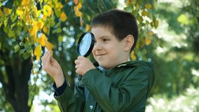 A little 6-year-old boy looks through a magnifying glass at a yellowed birch leaf in autumn in the park - Powered by Shutterstock - Get 15% off with code: PIKWIZARD15