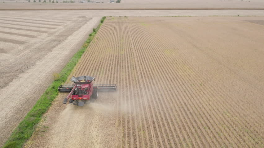 Aerial of Combine Harvester Operating, Harvesting Grain Crops on a Farm Field Royalty-Free Stock Footage #1110158045