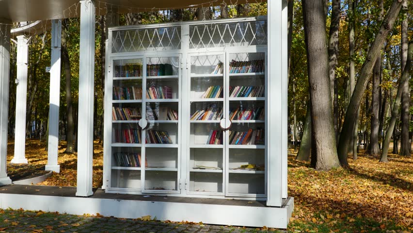 Girl takes a book out of the bookcase.