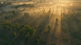 Fog nature sun morning river forest view lanscape travel foggy - Powered by Shutterstock - Get 15% off with code: PIKWIZARD15