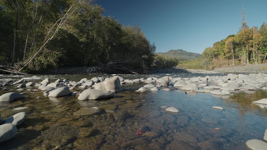 Beautiful Clean Water Elwha River with Rocks and Trees on the Olympic National Park Washington USA
