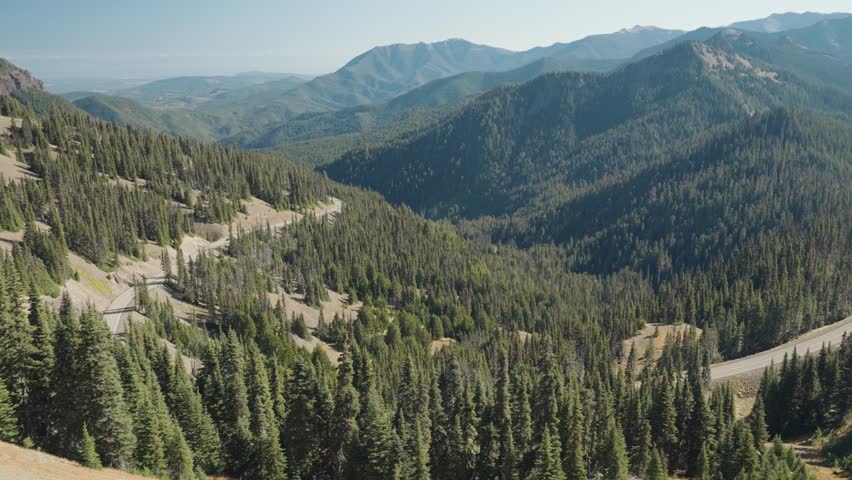 Hurricane Ridge a mountainous area Alpine Meadows in Washington Olympic National Park
