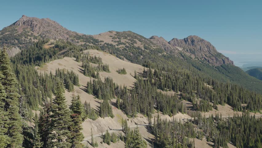 Hurricane Ridge a mountainous area Alpine Meadows in Washington Olympic National Park