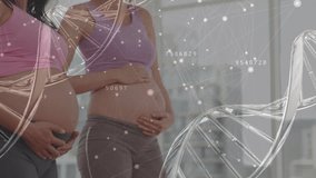 Dna strands, networks and data over midsection of diverse pregnant women in prenatal class. Pregnancy, self care, genetics, technology, expectancy, motherhood and healthcare digitally generated video.