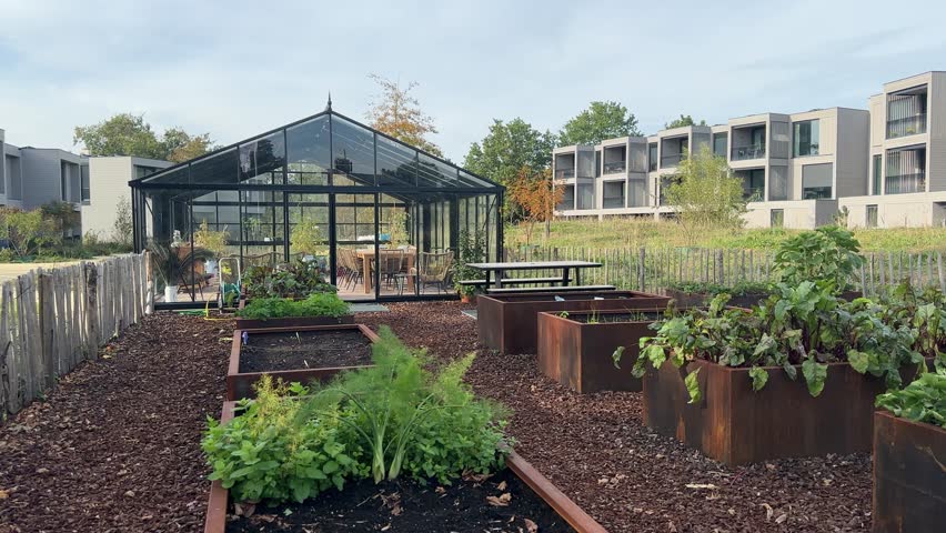 Greenhouse and vegetable garden in a residential ecologically clean area in Silvolde (Netherlands). Built on the site of a former factory. Raised beds in weathering steel containers Royalty-Free Stock Footage #1110176231