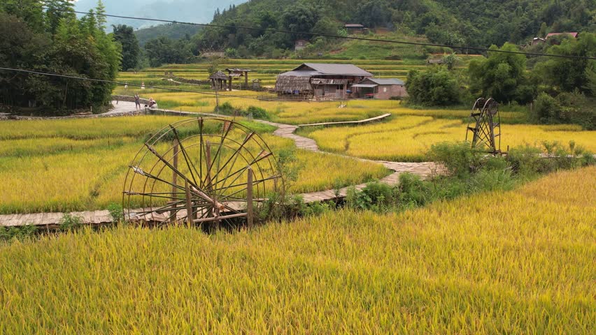 Landscape terraced rice field near Sapa. Cat Cat village rice fields stretching across mountainsides in Vietnam.