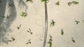 Vertical video. Top view of a WELCOME sign written on the white sand on a tropical beach with young coconut palms background.